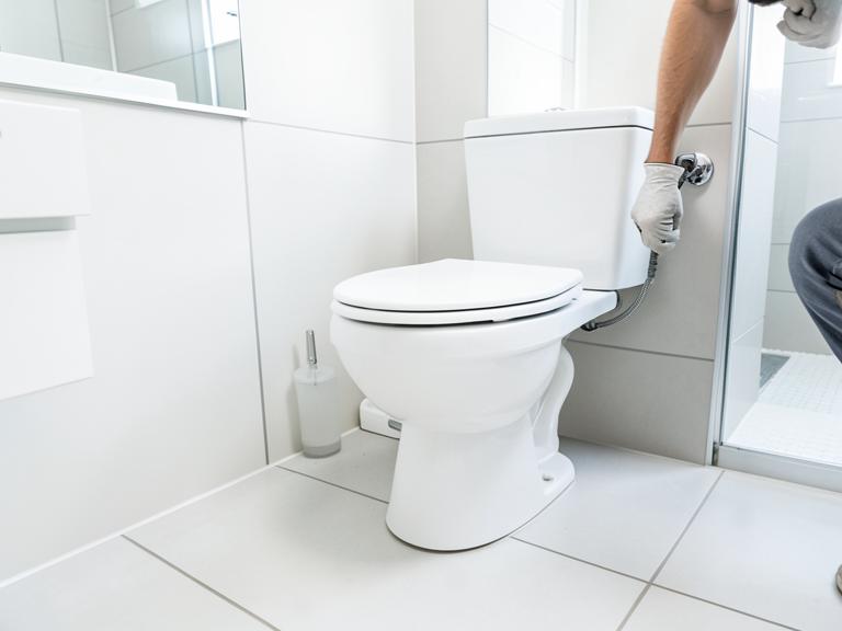 Toilet Overflow & Pipe Backup